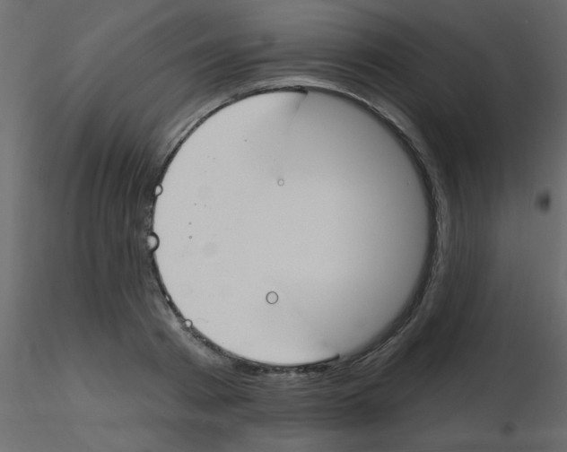 X0000115770793200912241749