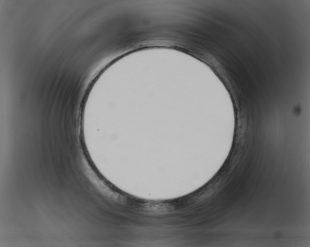 X0000115770795200912241749