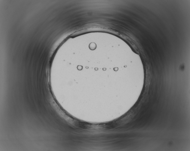 X0000115770796200912241749