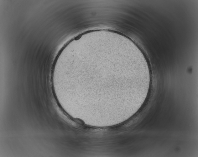 X0000115770797200912241749