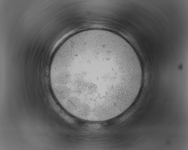 X0000115770798200912241749