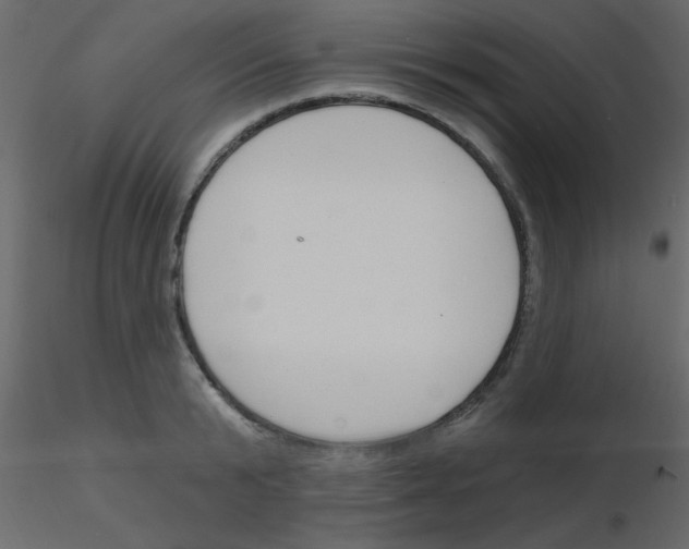 X0000115770799200912241749