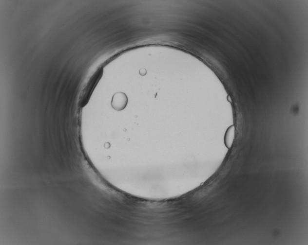 X0000115770800200912241749