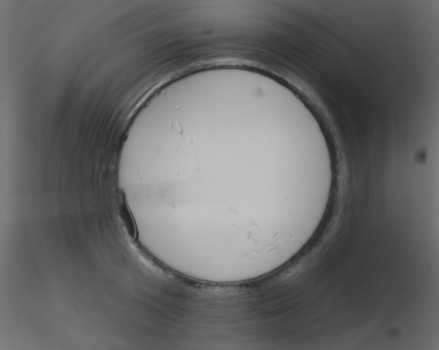 X0000115770801200912241749