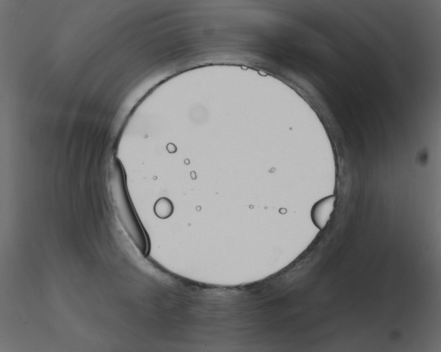 X0000115770804200912241748