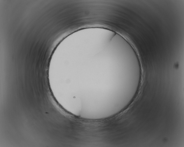 X0000115770805200912241748