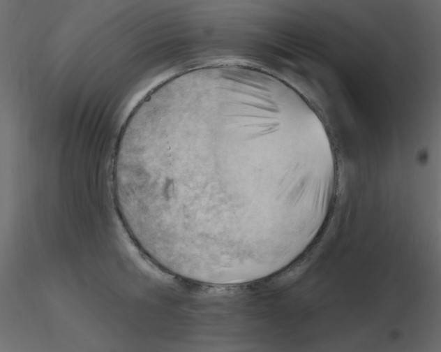 X0000115770806200912241748
