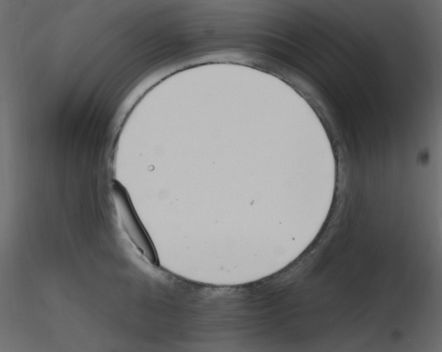 X0000115770808200912241748