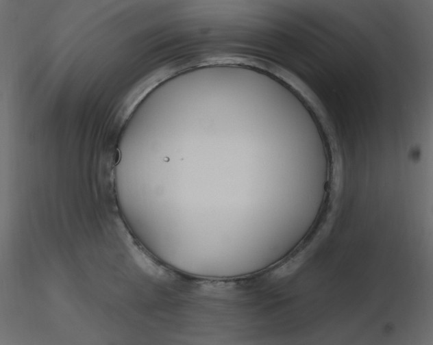 X0000115770809200912241748