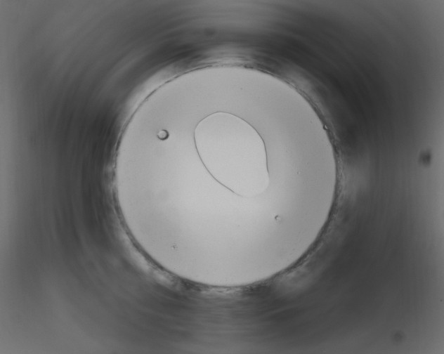 X0000115770810200912241748