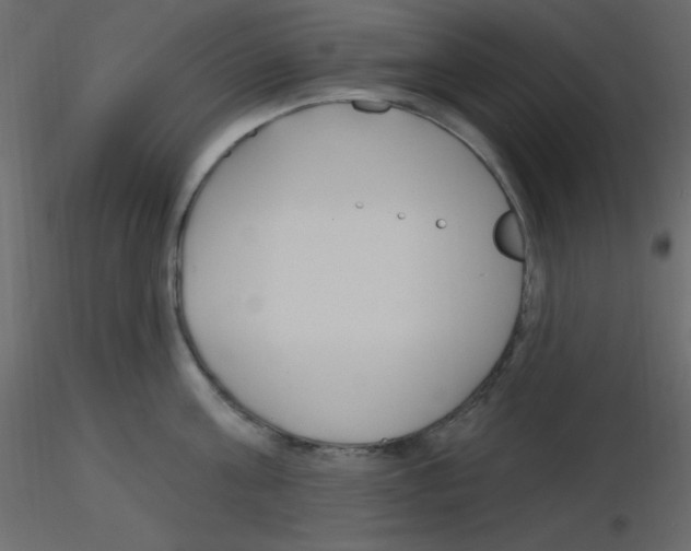X0000115770811200912241748