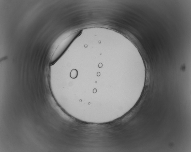 X0000115770812200912241748