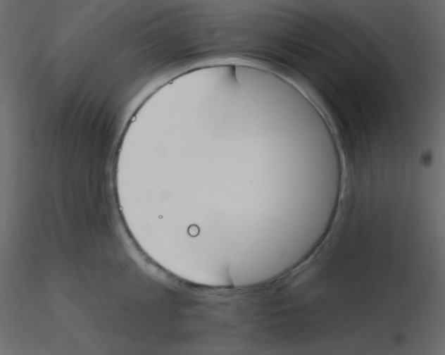 X0000115770813200912241748