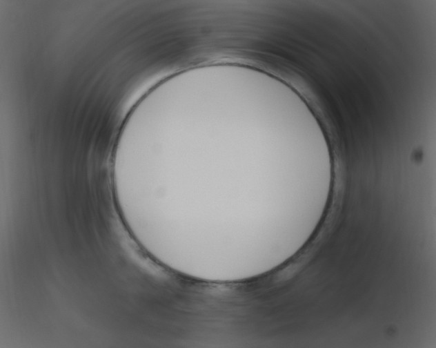 X0000115770814200912241748