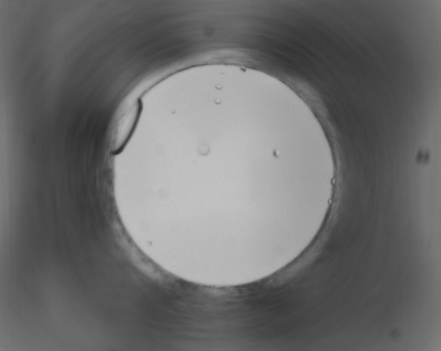 X0000115770816200912241748