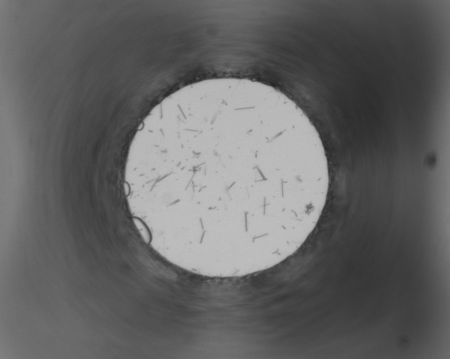 X0000115770817200912241748