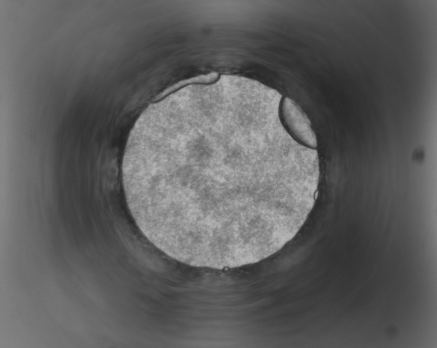 X0000115770818200912241748