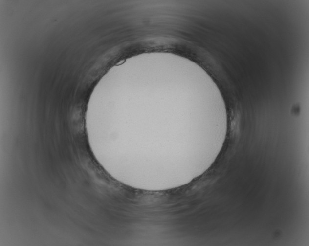 X0000115770819200912241748