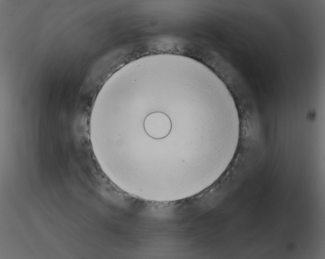 X0000115770820200912241748
