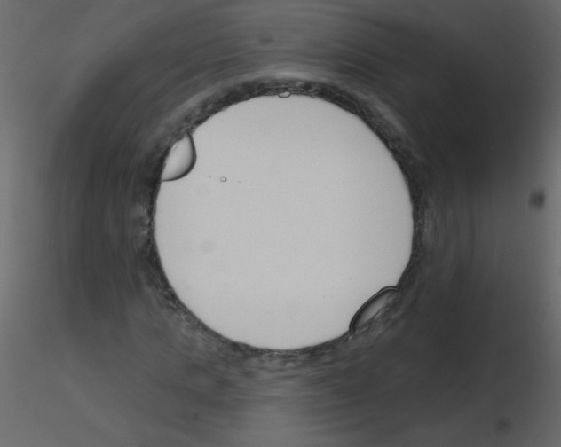X0000115770821200912241748