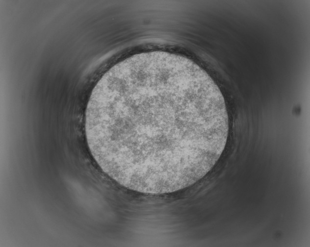 X0000115770822200912241748