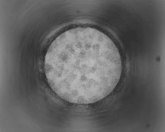 X0000115770823200912241748