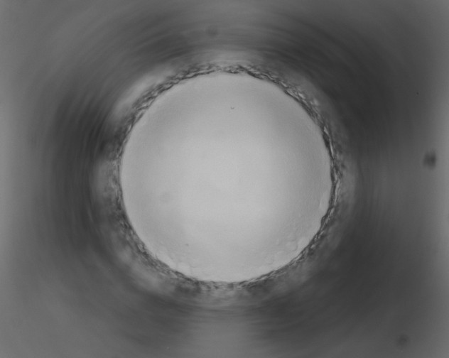 X0000115770824200912241748