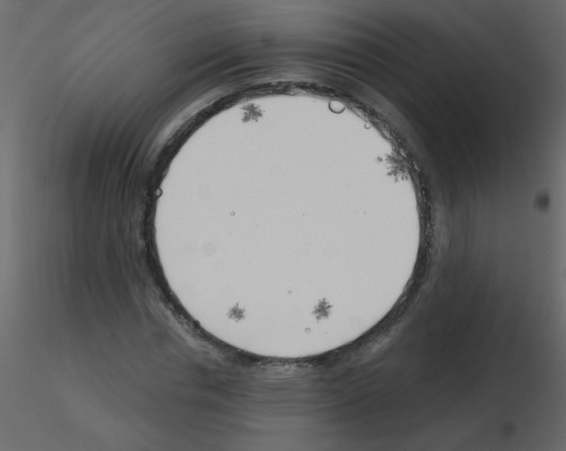 X0000115770826200912241748