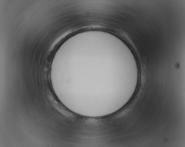 X0000115770827200912241748
