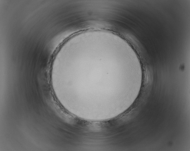 X0000115770828200912241748