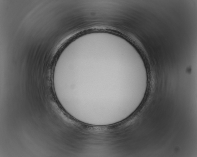 X0000115770831200912241748