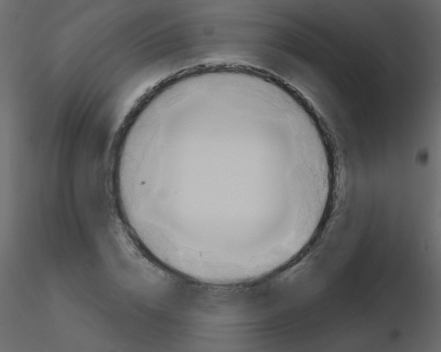 X0000115770832200912241748