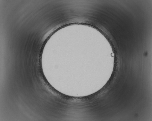 X0000115770834200912241748