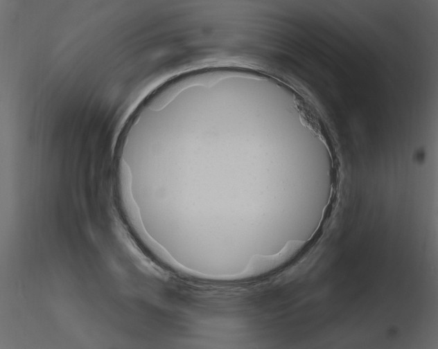 X0000115770836200912241748