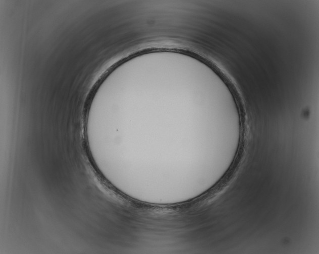 X0000115770837200912241748