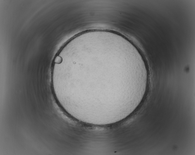 X0000115770839200912241748
