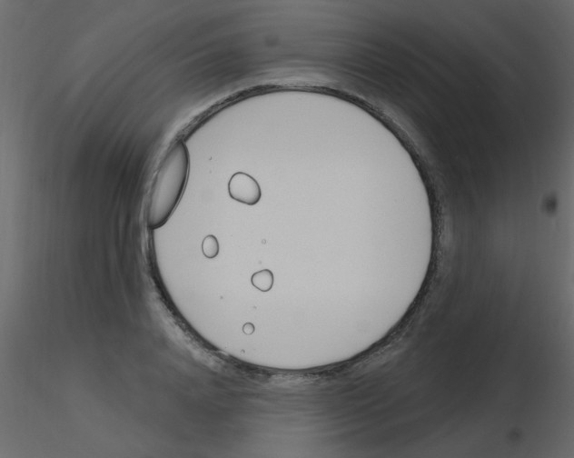 X0000115770840200912241748