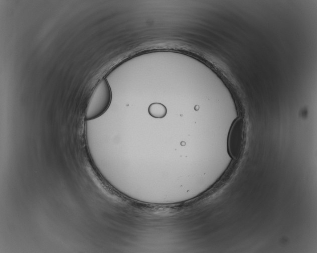 X0000115770841200912241748