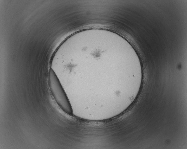 X0000115770844200912241748
