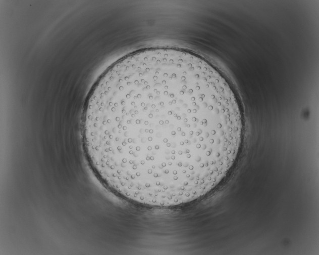 X0000115770847200912241748