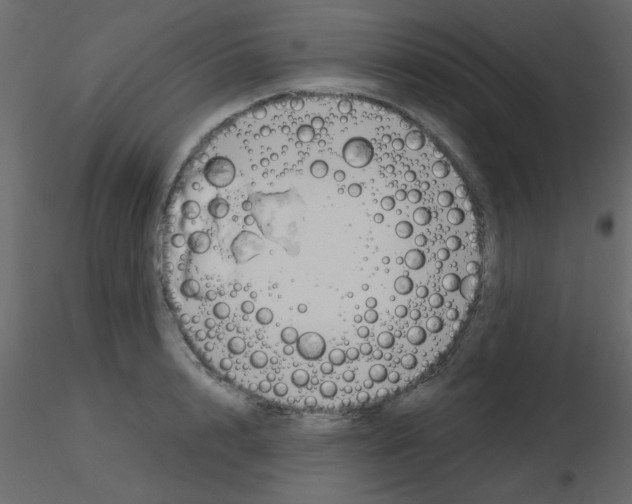 X0000115770848200912241748