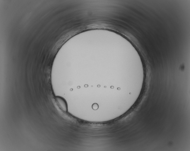 X0000115770849200912241748