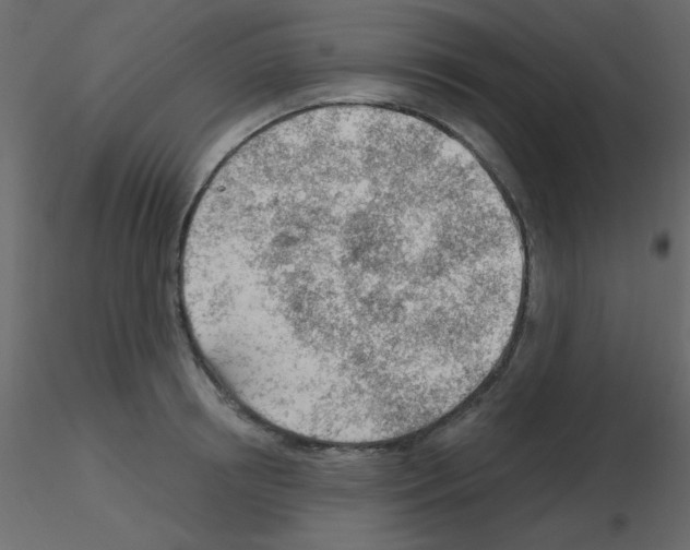 X0000115770850200912241748