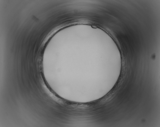 X0000115770851200912241748