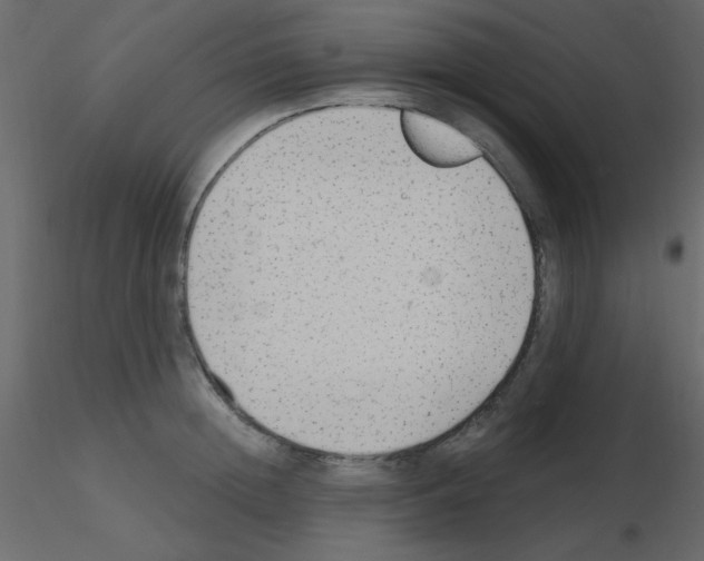 X0000115770852200912241748