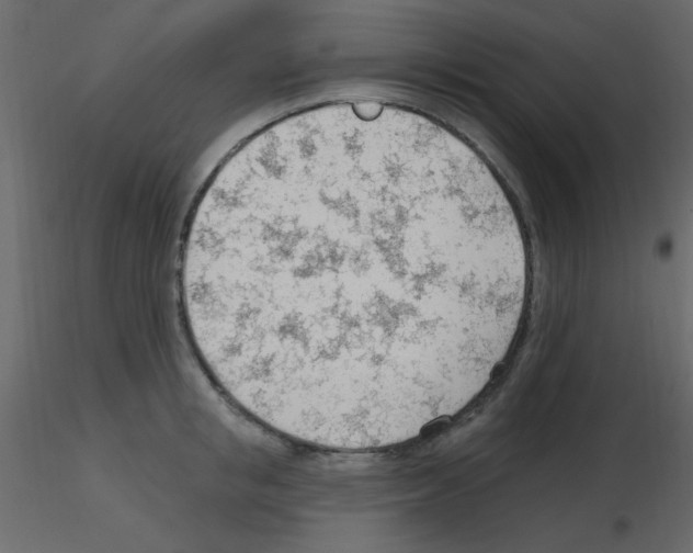 X0000115770853200912241748