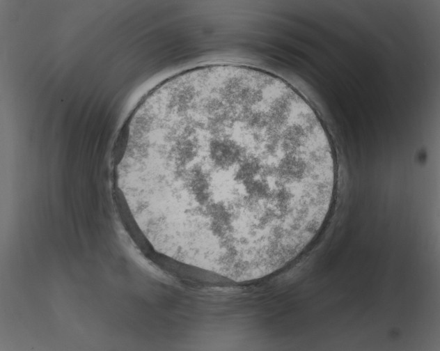 X0000115770854200912241748