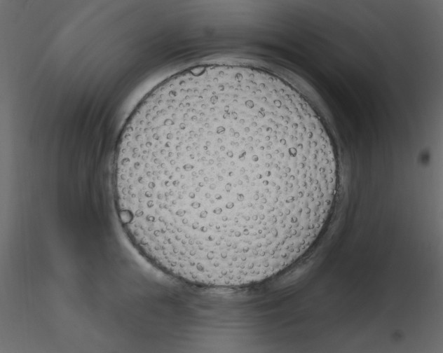 X0000115770855200912241748