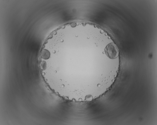 X0000115770856200912241748