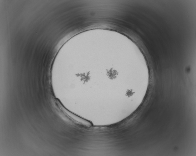 X0000115770858200912241748